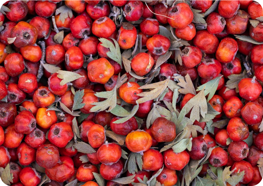 Niacin (Vitamin B3 – Nicotinamide)