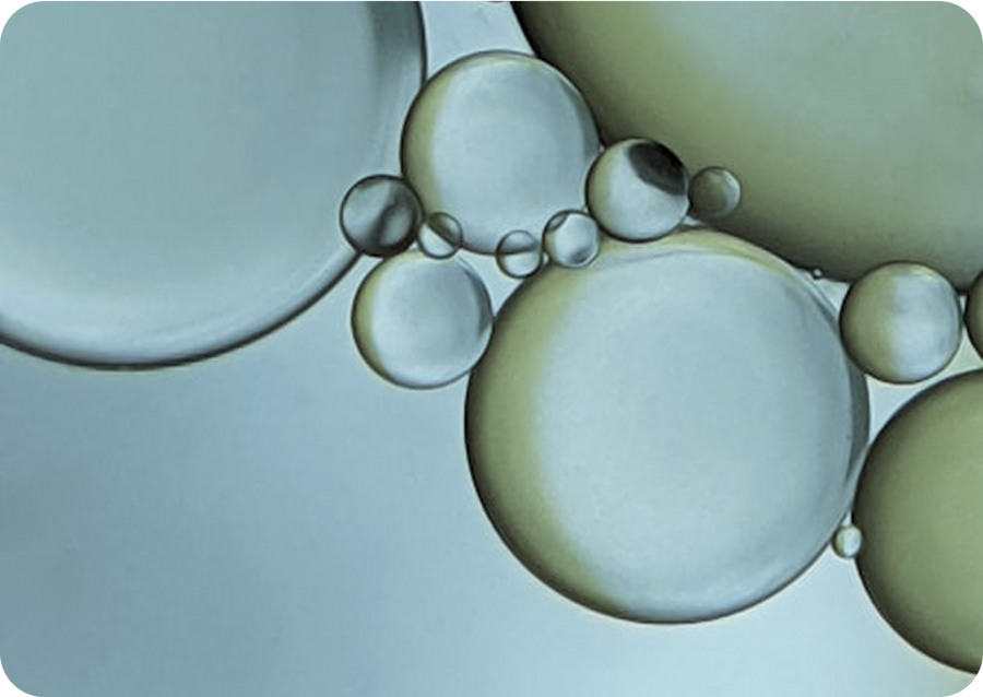 Marine Collagen (Fish-Based)