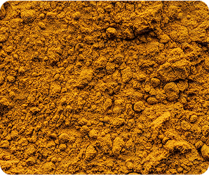 Turmeric (Curcumin)