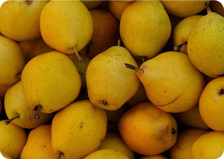 Pantothenic Acid (Vitamin B5)