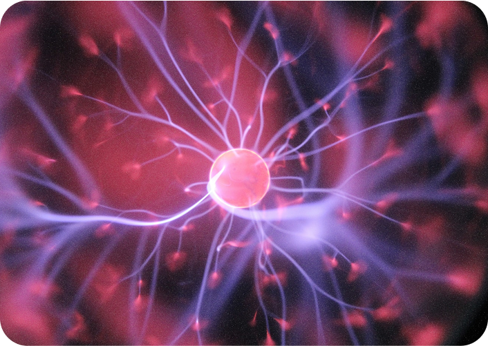 Green Tea L-Theanine