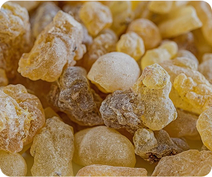 Frankincense Extract (Boswellic Acids)