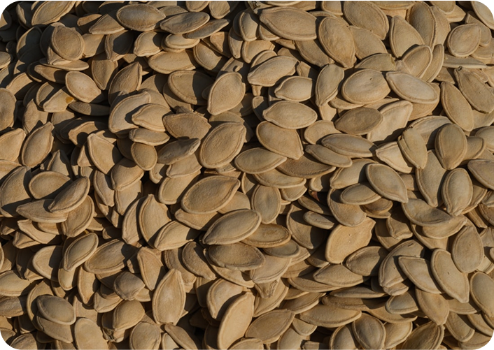 5-HTP (Griffonia Seed Extract)